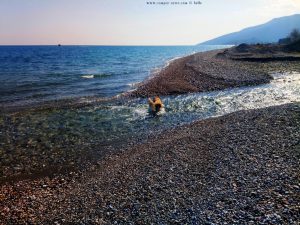 Nicol in der starken Strömung der Quelle - Cheronisi Beach – Greece