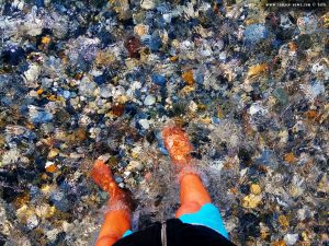 Die Strömung der Quelle ist beachtlich - Cheronisi Beach – Greece