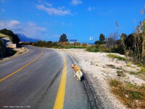 Mit Nicol auf Spaziergang wieder zurück zum Metamorfosi Beach - Greece
