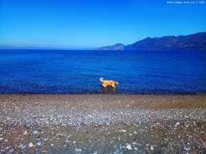Mit Nicol beim Spaziergang am Metamorfosi Beach – Greece