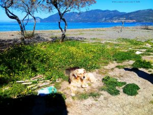 Nicol On Guard am Selfmadegrill a la Baffo - Metamorfosi Beach – Greece