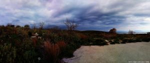 My View today - Cape Araxos – Greece