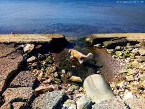 Mit Nicol auf Spaziergang - Astakos – Greece