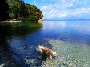 Nicol nimmt ein Fussbad in Anaktorio – Greece