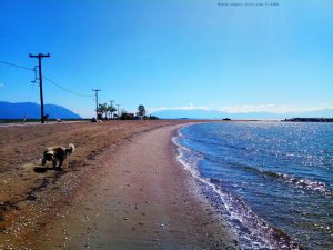 Mit Nicol auf Spaziergang in Tourlída – Greece