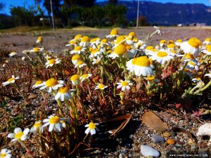 My View today - Akti – Greece