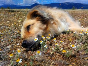 Nicol relaxing in Akti - Greece