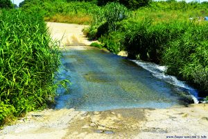 Lotta wieder mal - Flüsse überqueren ohne Brücke - on the Road in Greece