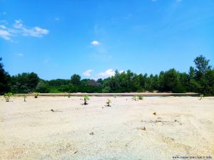 Meine Aussicht von meinem Strandplatz - River Arda - Kastanies – Greece