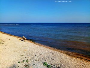 Nicol am Strand von Tuzla – Bulgaria