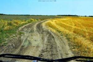Auf Feldwegen unterwegs - Sfântu Gheorghe - Romania