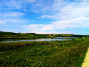 Rezervația Acumularea Vișa - Ocna Sibiului – Romania