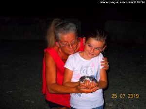 Ariana bringt uns das kleine Kätzchen - River Strei - Simeria Veche – Romania