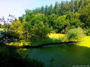 River Sió near Ocsény – Hungary