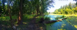 River Sió near Ocsény – Hungary