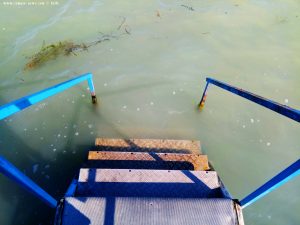 Wenig klares Wasser am Balatonoszödi Szabadstrand - Balaton Lake – Hungary