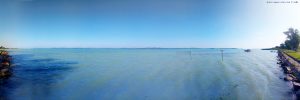 My View today - Balatonoszödi Szabadstrand - Balaton Lake – Hungary