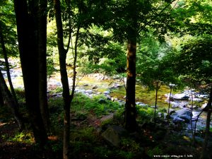 Fiume Pesio - Vigna - Italy