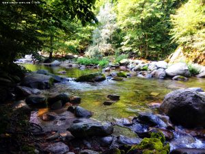 Fiume Pesio - Vigna - Italy