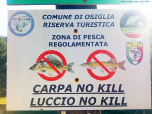 Karpfen und Hechte dürfen nicht getötet werden - Lago di Osiglia - Italy - 637m