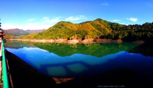 My View today - Lago del Brugneto – Italy