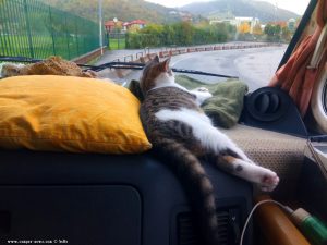 Lucky hat seinen Schlafplatz gefunden - on the Way to Busalla – Italy