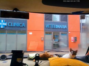 Clínica Veterinaria - Busalla - Italy
