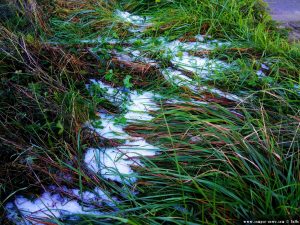 Snow in Carcare – Italy