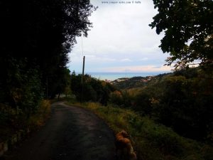 Das Meer kann ich wieder nur anschauen - Parco del Peralto - Genova – Italy