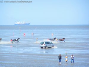 Duhner Wattrennen – Cuxhaven