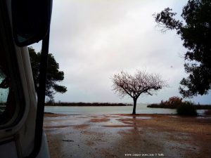 Platja de l'Eucaliptus ohne Strand - Amposta – Spain