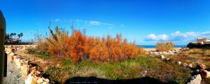 Inzwischen wieder fast komplett sonnig - Platja L'Almadrava – Spain