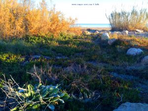 My View today - Platja L'Almadrava – Spain