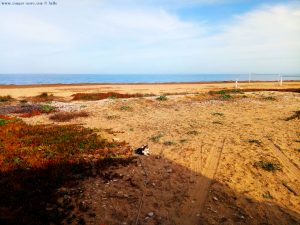 Lucky draussen - Platja L'Almadrava – Spain