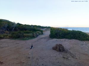 Lucky in Santa Pola – Spain