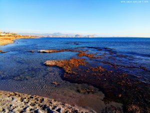 My View today - Agua Amarga Playa - Alicante – Spain