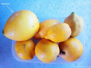 Zitronen - Platja L'Almadrava – Spain