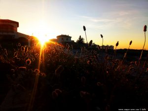 Sunset at Platja L'Almadrava – Spain