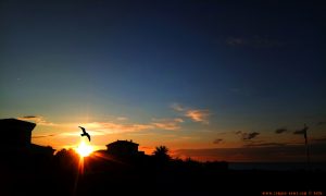 Sunset at Platja L'Almadrava - Spain