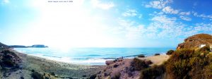 My View today - Playa de Las Palmeras - Spain - WhatsApp – Group