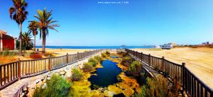 My View today - Playa del Vivero - Playa Honda – Spain