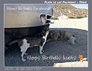 Happy Birthday Ferdinand und Lucky 🎀🎁🥂🍾🎂🎊🎉✨🎇🎈