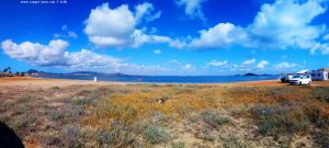 My View today - Playa del Vivero - Playa Honda - Spain – WhatsApp-Group