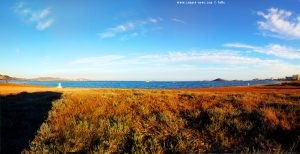 My View today - Playa del Vivero - Playa Honda – Spain