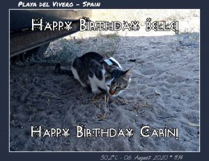 Happy Birthday Carin! 🎀🎁🥂🍾🎂🎊🎉✨🎇🎈