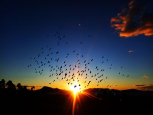 Sunset at Playa del Vivero - Playa Honda – Spain