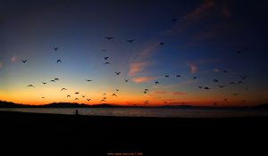 Sunset at Playa del Vivero - Playa Honda – Spain