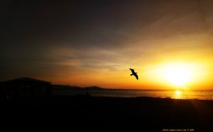 Sunset at Playa del Vivero - Playa Honda - Spain