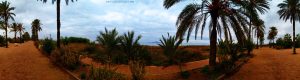 My View today - Los Urrutias - Playa Estrella del Mar – Spain