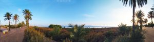 My View today - Los Urrutias - Playa Estrella del Mar – Spain